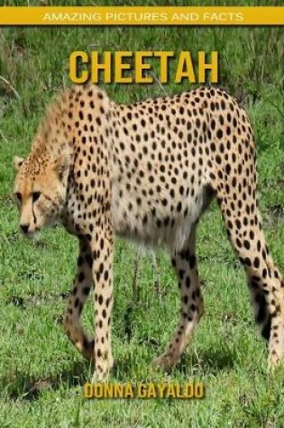 Cover of Cheetah