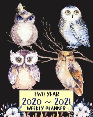 Book cover for Two Year 2020 - 2021 Weekly Planner