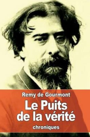 Cover of Le Puits de la verite