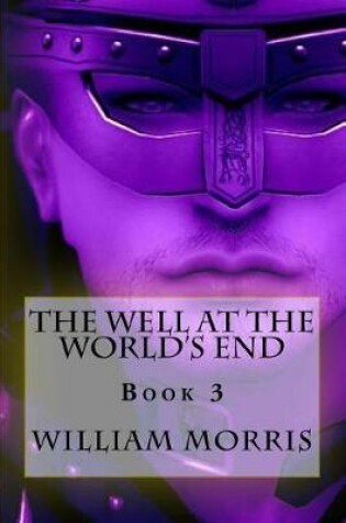 Cover of The Well at the World's End - Book 3