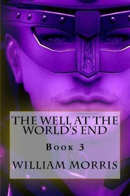 Book cover for The Well at the World's End - Book 3