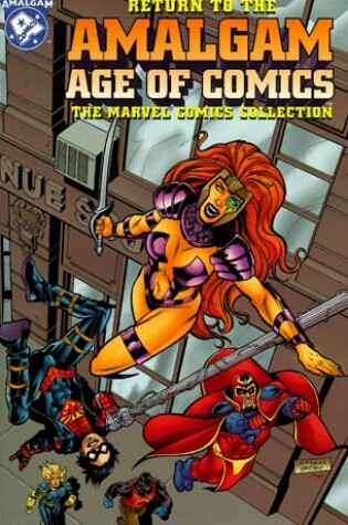 Cover of Return to the Amalgam Age of Comics