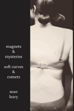 Cover of Magnets and Mysteries, Soft Curves and Comets