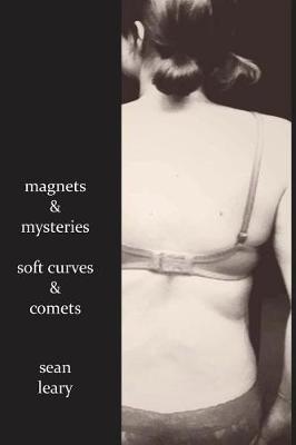 Book cover for Magnets and Mysteries, Soft Curves and Comets