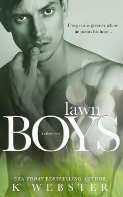 Book cover for Lawn Boys