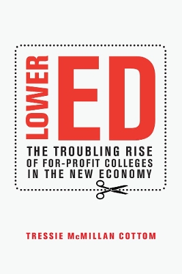 Book cover for Lower Ed