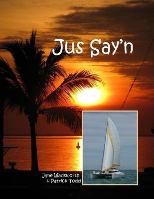 Book cover for Jus Say'n