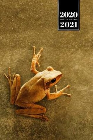 Cover of Frog Toad Week Planner Weekly Organizer Calendar 2020 / 2021 - Golden