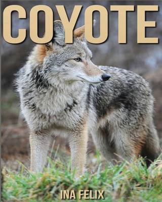 Book cover for Coyote