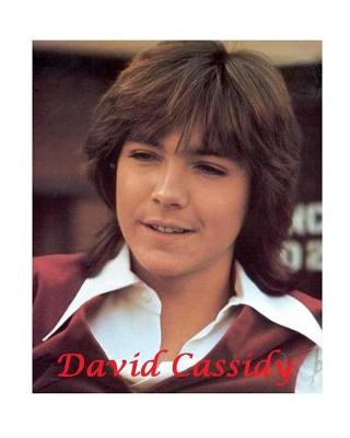 Book cover for David Cassidy