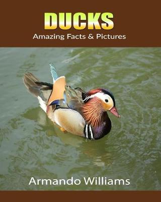 Book cover for Ducks