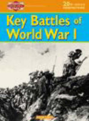 Book cover for 20th Century Perspect: Battles WW1