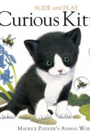 Cover of Curious Kitten