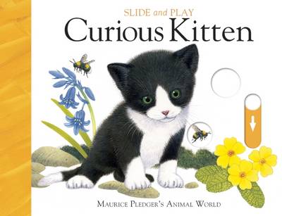 Book cover for Curious Kitten