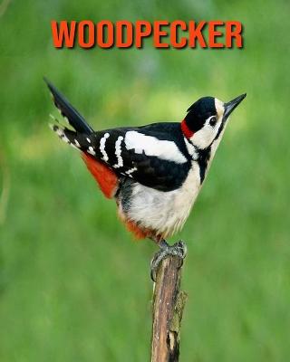 Book cover for Woodpecker