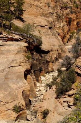 Cover of A Dry Creek Bed in Zion National Park, Utah