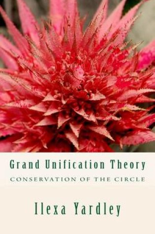 Cover of Grand Unification Theory