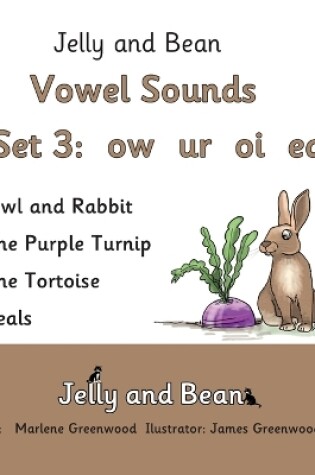 Cover of Vowel Sounds Set 3