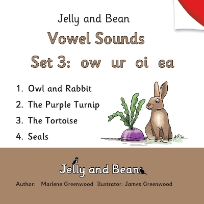 Book cover for Vowel Sounds Set 3
