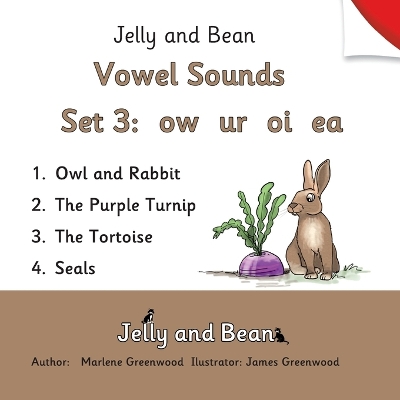 Book cover for Vowel Sounds Set 3