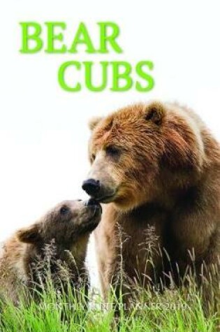 Cover of Bear Cubs Monthly Note Planner 2019 1 Year Calendar