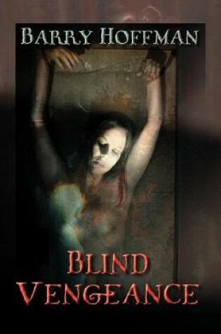 Cover of Blind Vengeance