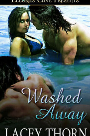 Cover of Washed Away