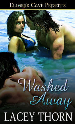 Book cover for Washed Away