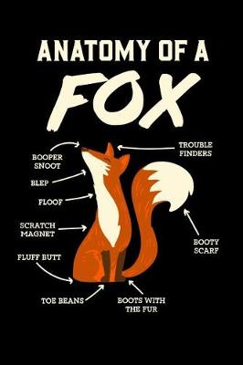 Book cover for Anatomy Of A Fox