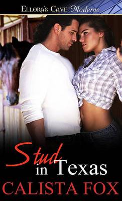 Book cover for Stud in Texas
