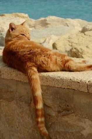 Cover of Ginger Cat Relaxing on the Seawall Pet Journal