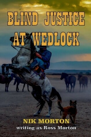 Cover of Blind Justice at Wedlock