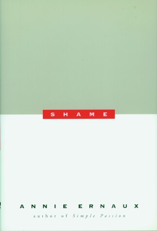 Book cover for Shame