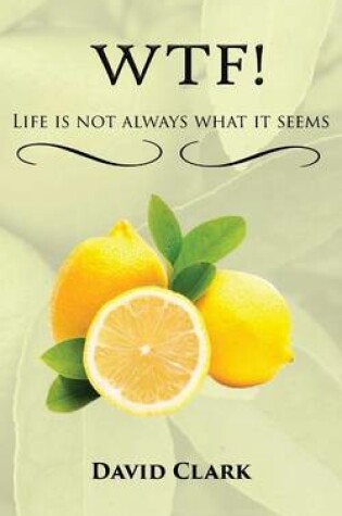 Cover of WTF! Life is Not Always What it Seems