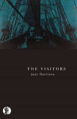 Book cover for The Visitors