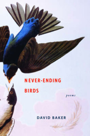 Cover of Never-Ending Birds