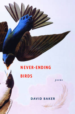 Book cover for Never-Ending Birds