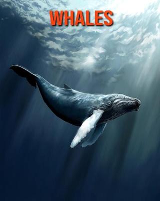 Book cover for Whales