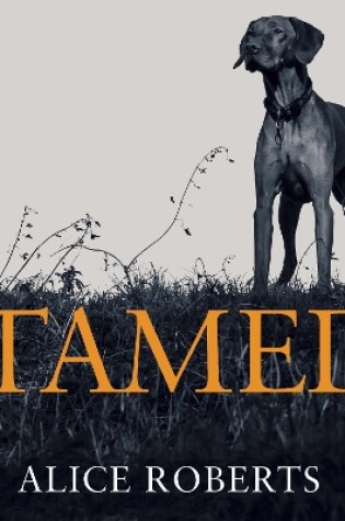 Cover of Tamed