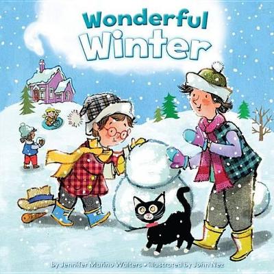 Book cover for Wonderful Winter