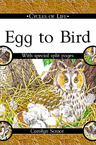 Cover of Egg to Bird
