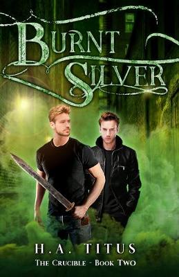 Book cover for Burnt Silver