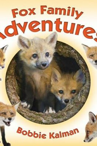 Cover of Fox Family Adventures