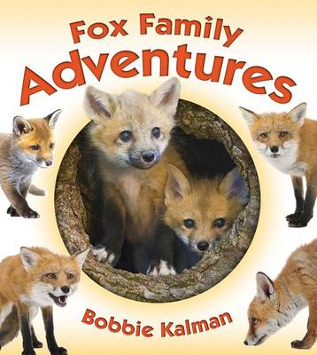 Book cover for Fox Family Adventures