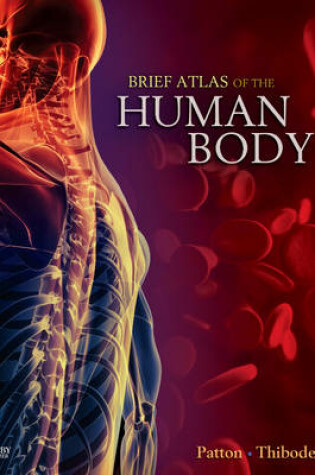 Cover of Brief Atlas of the Human Body