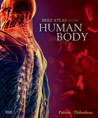 Book cover for Brief Atlas of the Human Body