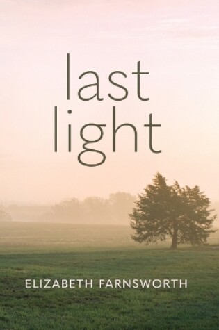 Cover of Last Light