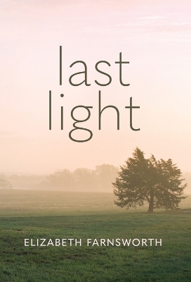 Book cover for Last Light