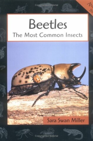 Cover of Beetles