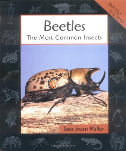 Cover of Beetles